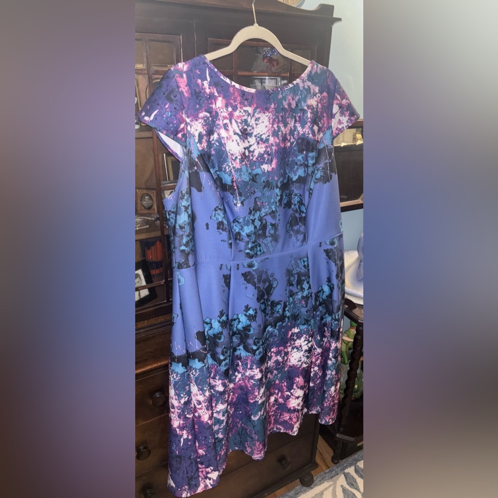 Adrianna Papell Purple and Pink Dress
